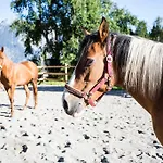 Oetztal Sautens